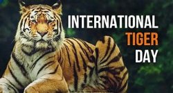 International Tiger Day